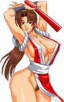  fatal_fury king_of_fighters mai_shiranui snk warnerc 