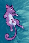  pokemon rattata tagme 