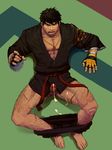  arad_senki dungeon_fighter_online male_fighter tagme 