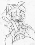  amy_rose praiz sonic_team tagme 