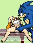  animated aval0nx cream_the_rabbit sonic_team sonic_the_hedgehog willyd 