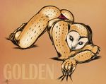  all_fours anthro ass_up avian barn_owl beak bent_over black_eyes butt claws cute falcon_mccooper feathers golden looking_at_viewer male owl scratch simple_background solo spots submissive thong topless warm_colors wingless 