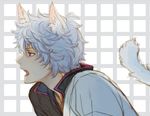  animal_ears bad_id bad_pixiv_id cat_ears cat_tail fangs gintama grey_hair kemonomimi_mode male_focus open_mouth red_eyes sakata_gintoki silver_hair solo tail teeth tkr_(lovedelic99) white_hair 