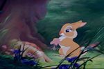  bambi_(film) blue_eyes disney female flower grass lagomorph pink rabbit vintage 