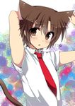  animal_ears brown_eyes brown_hair cat_ears cat_tail little_busters! male_focus masayu naoe_riki necktie school_uniform solo tail 