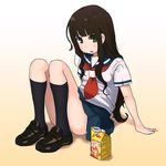  arm_support bad_id bad_pixiv_id bangs blunt_bangs brown_hair drink green_eyes highres itoshiki_rin juice kneehighs knees_touching legs legs_together legs_up lipton loafers long_hair long_legs open_mouth pleated_skirt sayonara_zetsubou_sensei school_uniform serafuku shoes sitting skirt socks solo tai0201 