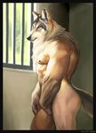  bars butt canine covering male mammal muscles nipples nude prison solo standing sunlight transformation were werewolf wolf 