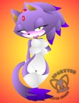  big_breasts blaze_the_cat blush breasts cat david_adame feline female gradient_background half-closed_eyes legwear looking_at_viewer mammal navel open_mouth orange_background plain_background ponytail pussy sega solo sonic_(series) sparxter stockings tail thigh_highs topless watermark 