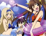  bikini cecilia_alcott huang_lingyin infinite_stratos shinonono_houki swimsuit 