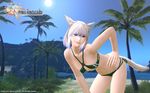  3d beach bikini final_fantasy final_fantasy_xiv green_eyes highres miqo&#039;te miqo'te swimsuit white_hair 