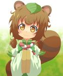  :3 animal_ears brown_hair duplicate leaf original raccoon_ears raccoon_tail roku_(touhou) silane solo tail touhou 