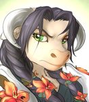  black_hair bovine braids cattle cow female flower green_eyes hair horn looking_at_viewer mammal portrait shalinka solo tauren verena_mistrunner video_games warcraft world_of_warcraft 