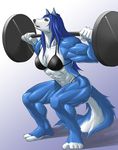  abs anthro barbell biceps big_breasts blue blue_body blue_hair bodybuilding breasts canine echin female hair hopey lift long_hair mammal muscles muscular_female solo vein weightlifting weights wolf wolfess 