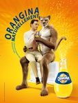  advertisement cougar feline ffl_paris gay hi_res human male mammal nude orangina sitting 