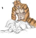  anal anal_penetration feline from_behind gay human interspecies male mammal penetration sex sketch tiger unknown_artist 