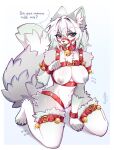 anthro areola bdsm bell bell_collar bell_harness big_breasts bodily_fluids breasts christmas collar digital_media_(artwork) female fur gag genital_fluids genitals grey_areola grey_nipples hair harness harness_gag hi_res holidays looking_at_viewer muzzle_(object) nipples nude open_mouth pussy signature simple_background siwiko solo tail text