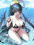  1girl 2girls absurdres bikini black_bikini black_hair blood blood_halo blue_archive breasts collar flower hair_flower hair_ornament halo highres holding holding_collar huge_breasts liquid_halo looking_at_viewer multiple_girls navel ocean official_alternate_costume official_alternate_hairstyle open_mouth outdoors ponytail red_eyes shark_fin sitting slave15 solo spiked_collar spikes swimsuit tsurugi_(blue_archive) tsurugi_(swimsuit)_(blue_archive) wariza water white_flower yellow_flower 