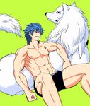  blue_hair muscle shirtless short_hair smile terry_cloth toriko_(series) toriko_(toriko) wolf 