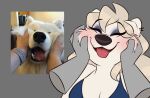 ambiguous_gender anthro breasts canid canine canis cheek_tuft cleavage clothed clothing daww domestic_dog eyebrows eyeliner eyeshadow face_squish facial_tuft female feral fur hair happy humor kimbra_(trishabeakens) long_hair makeup mammal nordic_sled_dog parody photo_reference photography_(artwork) raised_eyebrows real reference_image samoyed solo spitz squish tongue tongue_out trishabeakens tuft white_body white_fur
