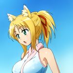  animal_ears blonde_hair dog_days fox_ears green_eyes hairu lowres ponytail solo yukikaze_panettone 