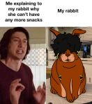 adam_driver afro awesomemazda04 black_coded black_hair brown_body brown_lips brown_nose cel_shading cottontail_rabbit duo ear_piercing ear_ring english_text female feral flag_patch freckled_face freckles fur hair human humor jamaican_flag lagomorph leporid lips male mammal meme ms._jamaica_(awesomemazda04) multicolored_body nationality overweight overweight_female photo_background photography_(artwork) piercing rabbit real ring_piercing shaded text two_tone_body whiskers