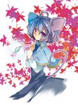  animal_ears grey_hair leaf maple_leaf mouse_ears mouse_tail nazrin red_eyes solo tail touhou yutsuka_(amyucca) 