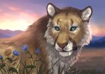 2025 cougar felid feline feral fields flower hi_res male mammal mountain_range novery plant rikki_(purrma) solo sunrise