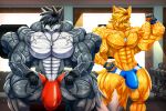 abs anthro biceps big_bulge big_muscles black_hair blonde_hair bottomwear bracelet bulge canid canine clothed clothing dog_tags dumbbell duo fennec_fox flexing fox fur gloves green_eyes grey_body grey_fur gym hair handwear hi_res huge_muscles jewelry looking_at_viewer male mammal multicolored_body multicolored_fur muscular muscular_anthro muscular_arms muscular_male necklace obliques partially_clothed pecs plant pose purple_eyes sitting solo speedo standing swimwear taiko-sihori trapezius triceps true_fox v-cut vein veiny_arms veiny_muscles weights yellow_body yellow_fur