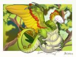 belly big_belly claws dragon fan_character feathers feral forest hi_res jungle male mythological_creature mythological_scalie mythology plant plateous predator/prey scalie solo tree vore wings