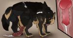  anal anal_penetration animal_genitalia animal_penis balls beau_(williamca) bite black_body black_fur bodily_fluids canid canine canine_genitalia canine_penis cum cum_in_ass cum_inside cum_on_ground cutaway duo ear_piercing ear_ring eyes_closed feral feral_on_feral feral_penetrated feral_penetrating feral_penetrating_feral frenum_ladder frenum_piercing from_behind_position fur genital_fluids genital_piercing genitals grey_balls grey_body grey_fur grey_sheath hi_res industrial_piercing killthe_demon knot knotting ladder_piercing male male/male male_penetrated male_penetrating male_penetrating_male mammal neck_bite open_mouth penetration penile penile_penetration penis penis_in_ass penis_piercing piercing prince_albert_piercing red_penis red_tongue ring_piercing sex sheath tan_balls tan_body tan_fur tongue tongue_out 