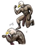  bald_eagle balls beak big_penis bird eagle falcon_mccooper humanoid_penis hyper hyper_penis male muscles penis pulsar solo 