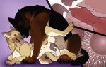  animal_genitalia animal_penis big_penis big_vulva bodily_fluids brown_body brown_fur canid canine canine_genitalia canine_penis cervical_penetration cum cum_in_vagina cum_inside cutaway duo erection eyes_closed ezra_(wolffylegend) female female_penetrated feral feral_on_feral feral_penetrated feral_penetrating feral_penetrating_feral fur genital_fluids genitals hi_res impregnation killthe_demon knot knotting lying male male/female male_penetrating male_penetrating_female mammal on_side open_mouth ovum penetration penis red_penis sex side_view sitting sperm_cell tan_body tan_fur tongue tongue_out vulva white_body white_fur 