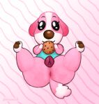 anatomically_correct anatomically_correct_genitalia anatomically_correct_vulva animal_crossing animal_genitalia animal_vulva anthro anus big_nose black_eyes bodily_fluids bottomless brown_nose brown_pawpads butt candy canid canine canine_genitalia canine_vulva canis chocolate chocolate_chip_cookie chocolate_chips clothed clothing cookie cookie_(animal_crossing) countershade_face countershading darkened_genitalia darkened_vulva dessert digital_media_(artwork) domestic_dog dripping dripping_pussy dripping_wet eyelashes female fluffy fluffy_tail food fur genital_fluids genitals glistening glistening_eyes hi_res leg_markings looking_at_viewer lying mammal markings nintendo pattern_background pawpads paws pincoosh pink_body pink_fur presenting presenting_anus presenting_hindquarters presenting_vulva signature simple_background smile smiling_at_viewer socks_(marking) solo tail vaginal_fluid_drip vaginal_fluids vulva white_body white_countershading