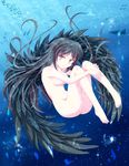  bad_anatomy barefoot black_hair black_wings breasts feet fetal_position fish floating_hair freediving highres leg_hug long_hair manta_ray medium_breasts multicolored multicolored_eyes navel nude pyonta reiuji_utsuho shark solo space star_(sky) touhou tri underwater when_you_see_it wings 