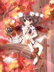  bad_id bad_pixiv_id black_hair black_wings blush camera geta hat highres in_tree leaf looking_at_viewer nekosugi_(hoshi) open_mouth red_eyes shameimaru_aya short_hair sitting sitting_in_tree smile solo tengu-geta tokin_hat touhou tree wings 