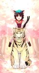  animal_ears brown_hair cat_ears cat_tail chen earrings hat jewelry multiple_tails orange_eyes riding shin_(new) short_hair solo tail tiger touhou 