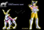  1boy armor canes_venatici_asterion cloth constellation dog hound hound_dogs knights_of_the_zodiac male male_focus mythology saint_seiya silver 