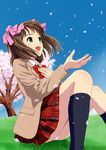  amami_haruka brown_hair cherry_blossoms green_eyes hair_ribbon highres idolmaster idolmaster_(classic) panties pantyshot petals ponnetsu ribbon school_uniform sitting skirt socks solo underwear wind 