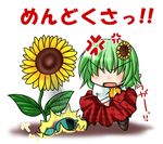  anger_vein angry ascot chibi commentary flower green_hair hair_flower hair_ornament kagura_chitose kazami_yuuka lowres no_eyes plaid plaid_skirt plaid_vest ragequit simple_background skirt skirt_set solo sunflower touhou translated unmoving_pattern vest watering_can white_background 