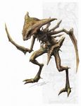  arthropod bone claws color digitigrade exoskeleton fossil insect kabutops nintendo plain_background pok&#233;mon pok&eacute;mon realistic skeleton solo unknown_artist video_games 