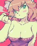  animal_ears breasts brown_hair cat_ears cleavage epna epuna female furry green_eyes lowres oekaki pipe slit_pupils smoke smoking solo whiskers 