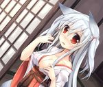  animal_ears bad_id bad_pixiv_id blush breasts cleavage door fang fox_ears hair_ribbon japanese_clothes kimono medium_breasts miko off_shoulder open_mouth original oruto_(ort+) red_eyes ribbon shi-chan_(oruton) silver_hair solo tatami twintails 