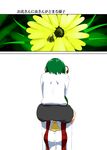  antenna_hair ascot ass bee bug comic commentary_request dress_shirt face_hug flower green_hair insect kazami_yuuka mattari_yufi multiple_girls plaid plaid_vest pollination sexually_suggestive shirt short_hair touhou translated vest wriggle_nightbug 