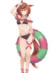  1girl absurdres alternate_costume animal_ears arm_up bikini black_bikini blush breasts brown_eyes brown_hair brown_tail commentary_request contrapposto feet_out_of_frame frilled_innertube frills halterneck highres horse_ears horse_girl horse_tail innertube jtleeklm long_hair looking_at_viewer multi-strapped_bikini_bottom multicolored_innertube navel nice_nature_(umamusume) o-ring o-ring_thigh_strap one_eye_closed ponytail simple_background small_breasts smile solo standing stomach striped_innertube swim_ring swimsuit tail thigh_strap umamusume white_background 