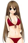  arms_behind_back bare_shoulders bikini black_eyes blush breasts brown_hair cleavage front-tie_top harurun large_breasts light_smile long_hair navel original red_bikini simple_background skindentation smile solo striped striped_bikini swimsuit very_long_hair 