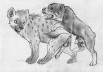  all_fours anatomically_correct anus balls canine dog doggy_position doggystyle feral feral_on_feral from_behind gay hyena looking_back male mammal penis rottweiler sex sketch spera 