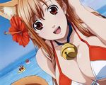  animal_ears asobi_ni_iku_yo! bikini eris_(asobi_ni_iku_yo!) swimsuit 