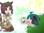  ahoge animal_ears bad_id bad_pixiv_id bottle brown_hair futatsuiwa_mamizou glasses green_hair kasodani_kyouko leaf leaf_on_head miyu_(lacrima) multiple_girls notepad pince-nez raccoon_ears raccoon_tail tail touhou yellow_eyes 