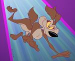 2024 3_toes 4_fingers abstract_background alternate_version_at_paywall anthro arched_foot arched_soles arm_tuft athletic belly bent_legs big_butt biped black_eyes black_nose black_toe_claws brown_body brown_fur butt canid canine canis casual_nudity chest_tuft claws colored coyote curling_toes digital_drawing_(artwork) digital_media_(artwork) eyebrows feet fingers flat_colors fluffy fluffy_chest fur gavanzude head_tuft hi_res humanoid_feet humanoid_hands humanoid_heel knee_tuft leg_tuft looney_tunes male mammal mischievous mischievous_smile multicolored_body multicolored_fur nude nudist paws pecs pinup plantigrade pose shoulder_tuft signature skinny skydiving slim slim_anthro slim_male solo speed_lines tan_belly tan_body tan_eyebrows tan_fur toe_claws toes tuft two_tone_body two_tone_fur warner_brothers wile_e._coyote yellow_sclera