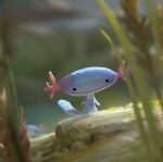 ambiguous_gender amphibian anthro axolotl axolotl_tail blue_body blurred_background digital_drawing_(artwork) digital_media_(artwork) digital_painting_(artwork) dot_eyes generation_2_pokemon gills grass happy joyful light marine mole_salamander nintendo painting_(artwork) plant pokemon pokemon_(species) rock salamander silly simple_eyes smile solo solo_focus standing tail unknown_artist wooper